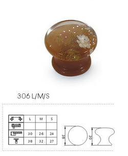 306 LMS